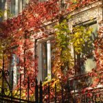 Entretien des locaux en automne : anticiper les salissures