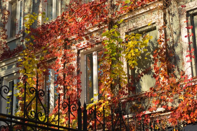 Entretien des locaux en automne : anticiper les salissures